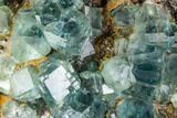 Plate Of Green Fluorite Crystals on Quartz - China #112188-2